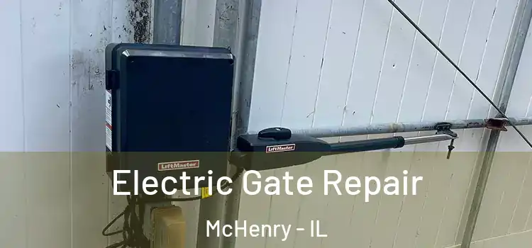  Electric Gate Repair McHenry - IL