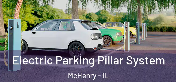  Electric Parking Pillar System McHenry - IL