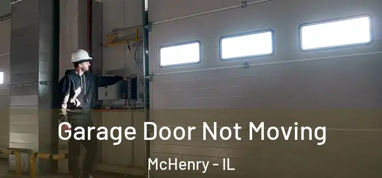  Garage Door Not Moving McHenry - IL