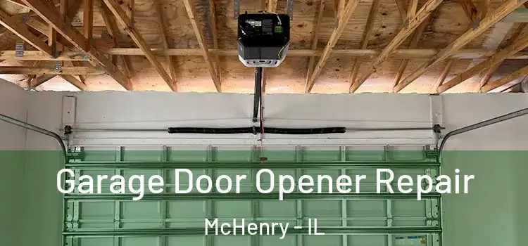  Garage Door Opener Repair McHenry - IL