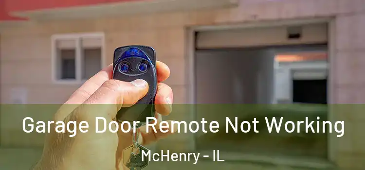  Garage Door Remote Not Working McHenry - IL