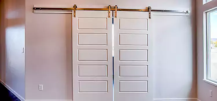 Glass Barn Door with Installation Hardware Kit McHenry