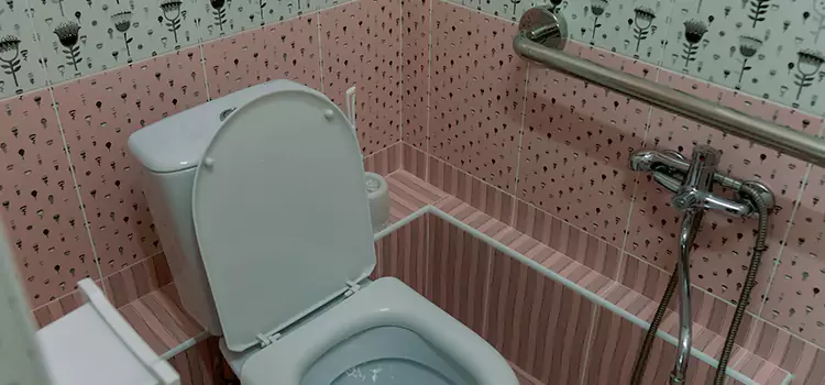 Meeting Diverse Needs With Accessible Restroom Solutions in McHenry, IL
