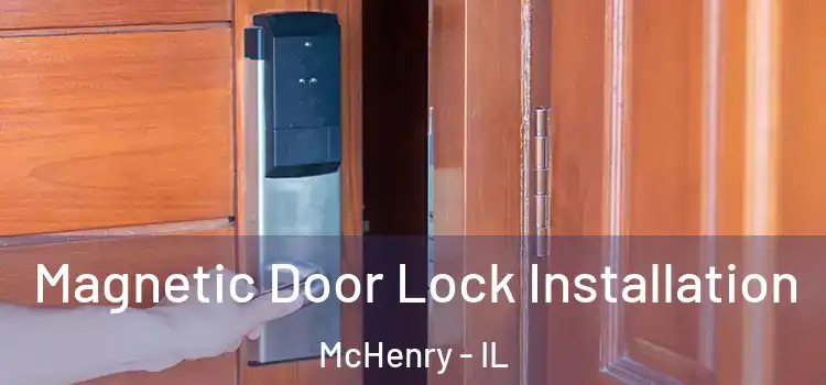  Magnetic Door Lock Installation McHenry - IL