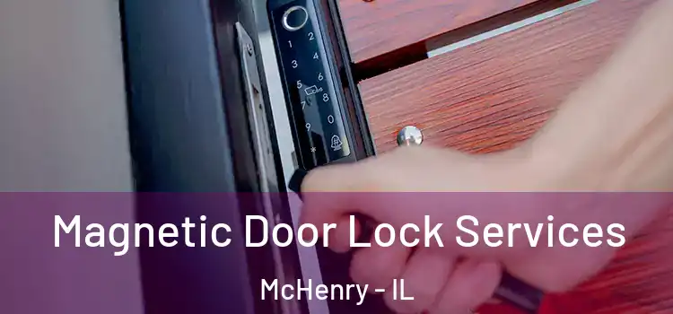  Magnetic Door Lock Services McHenry - IL